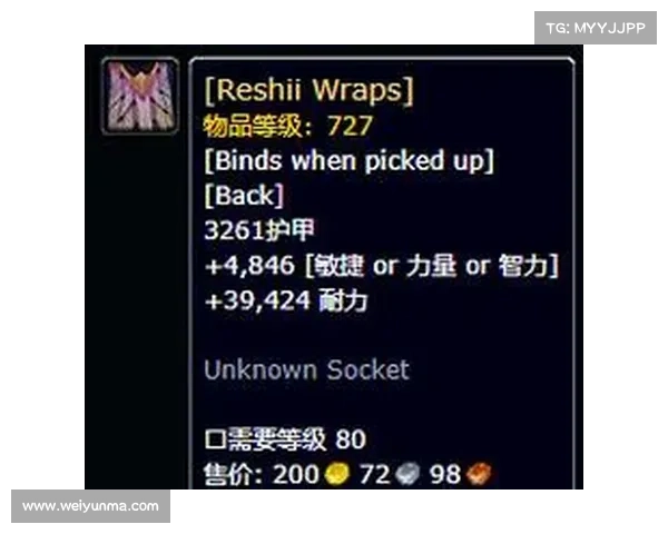 魔兽世界披风：技能升级攻略速成